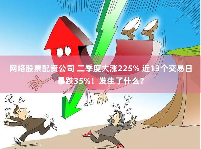 网络股票配资公司 二季度大涨225% 近13个交易日暴跌35%！发生了什么？