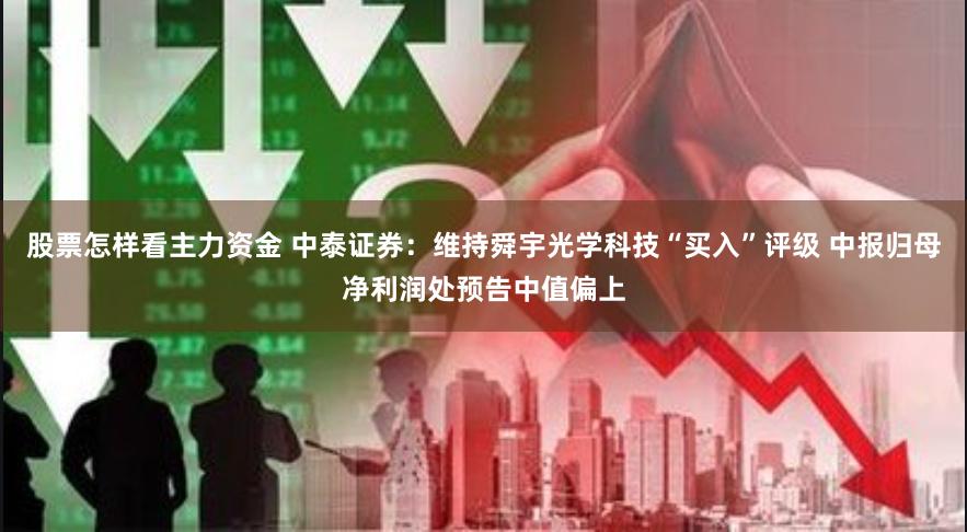 股票怎样看主力资金 中泰证券：维持舜宇光学科技“买入”评级 中报归母净利润处预告中值偏上